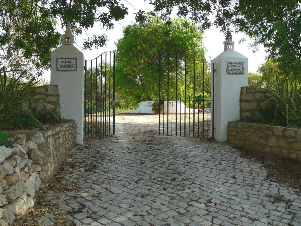 Quinta Mimosa Hotel Loulé Zewnętrze zdjęcie