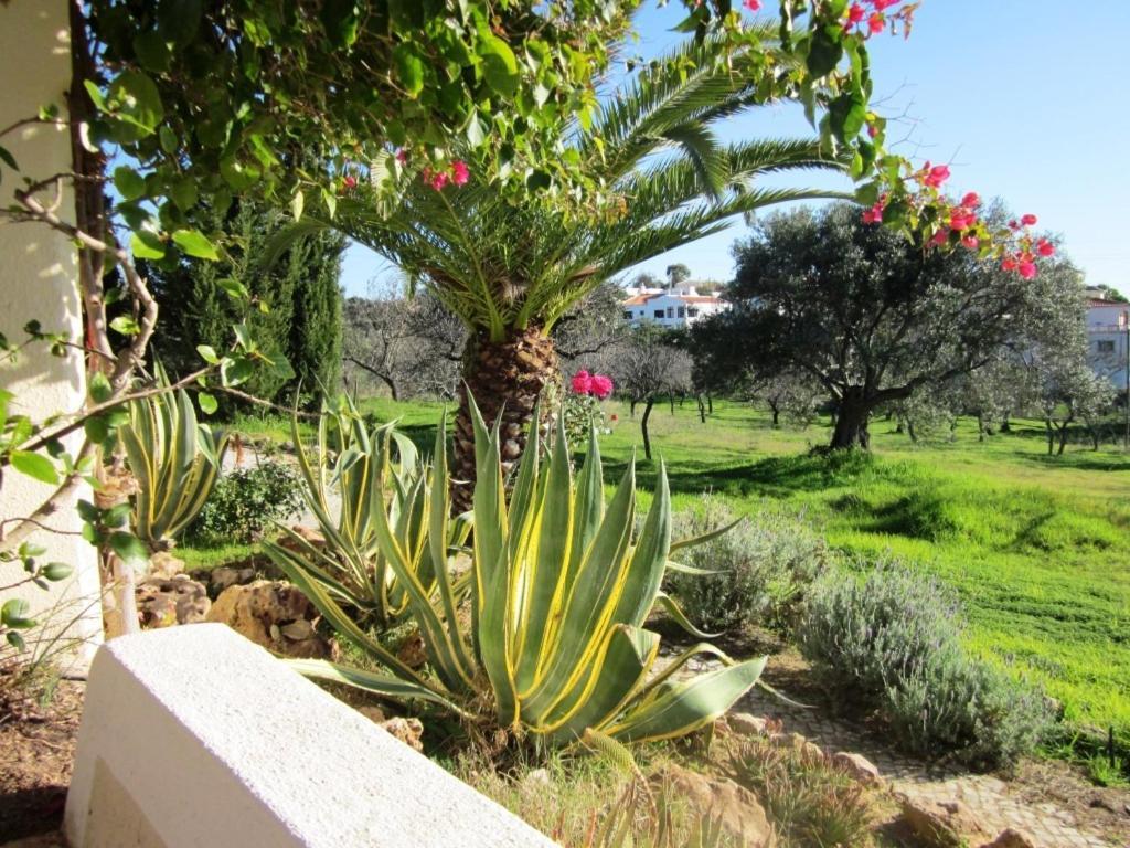 Quinta Mimosa Hotel Loulé Pokój zdjęcie