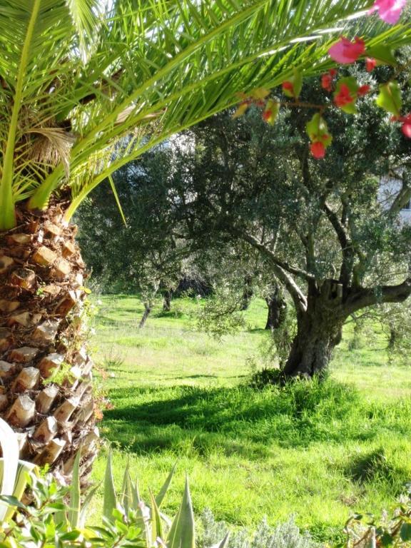 Quinta Mimosa Hotel Loulé Pokój zdjęcie